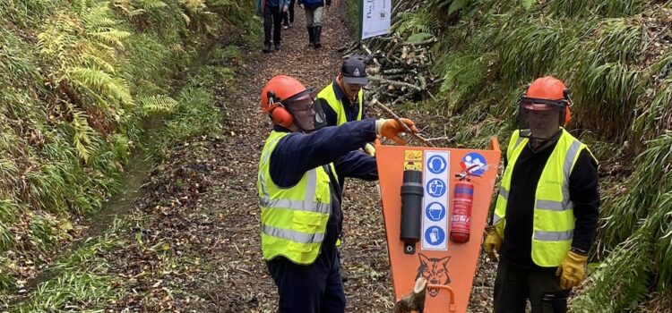 November 2025 Work Party November 2025 Work Party