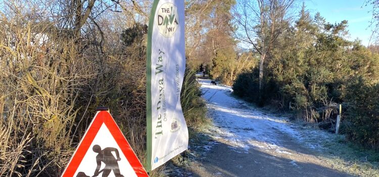 February 2026 Work Party February 2026 Work Party